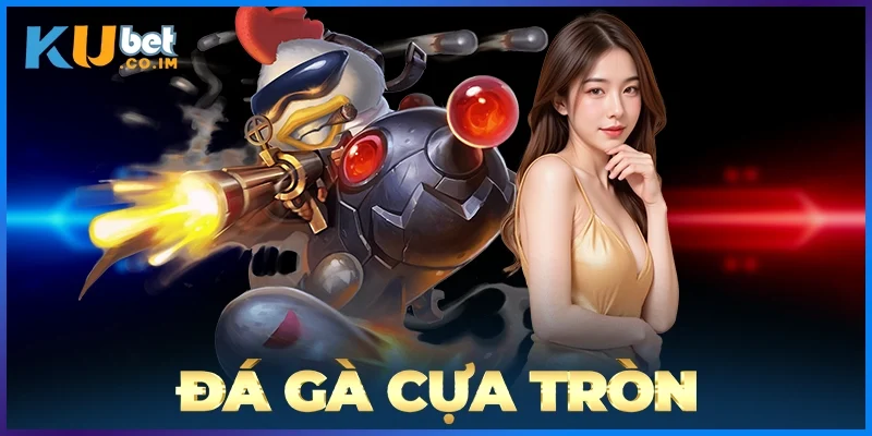 Đá Gà Cựa Tròn